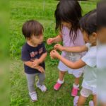 夏の自然と子ども
